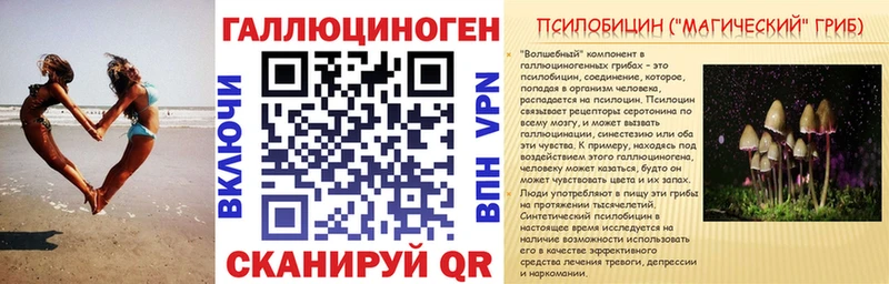 kraken вход  Черноголовка  Галлюциногенные грибы Cubensis 